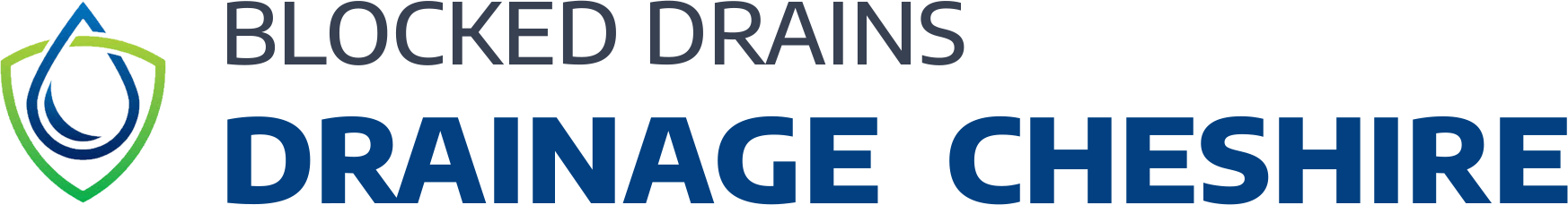 website logo